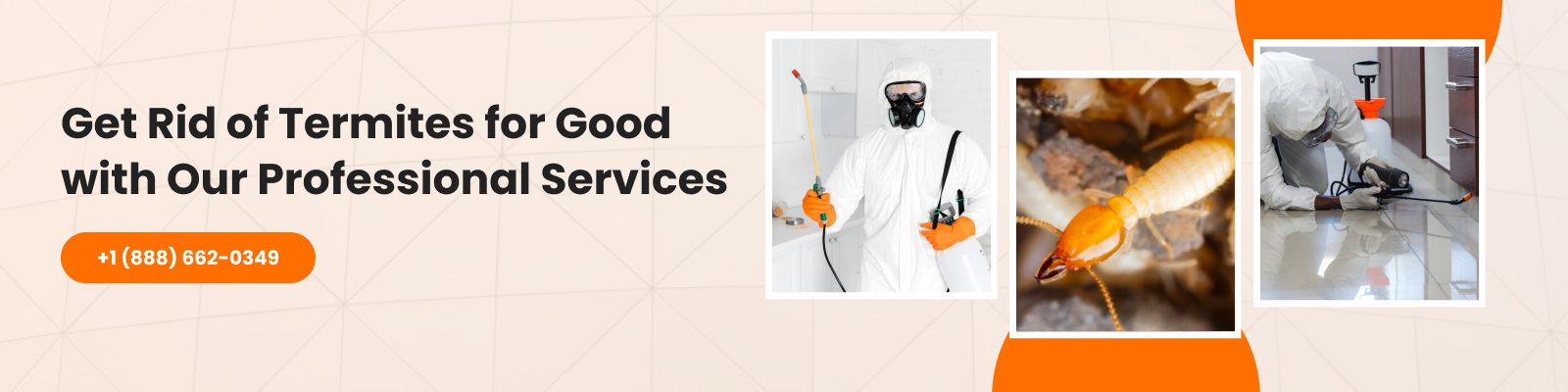 termites extermination service